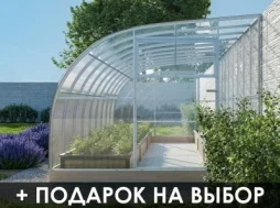 Теплица «ПРИСТЕННАЯ» Теплица «ПРИСТЕННАЯ»